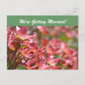 Briefkaarten sparen de datum (Voorkant)