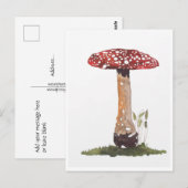 Briefkaarten - Studie naar Agaric Paddenstoel Wate (Voorkant / Achterkant)