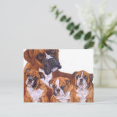 Briefkaarten uit de Boxer-reeks (Staand voorkant)