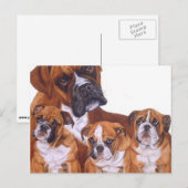 Briefkaarten uit de Boxer-reeks (Voorkant / Achterkant)
