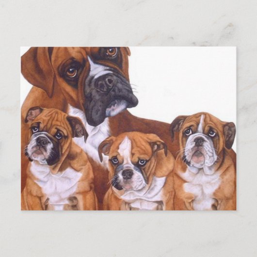 Briefkaarten uit de Boxer-reeks (Voorkant)