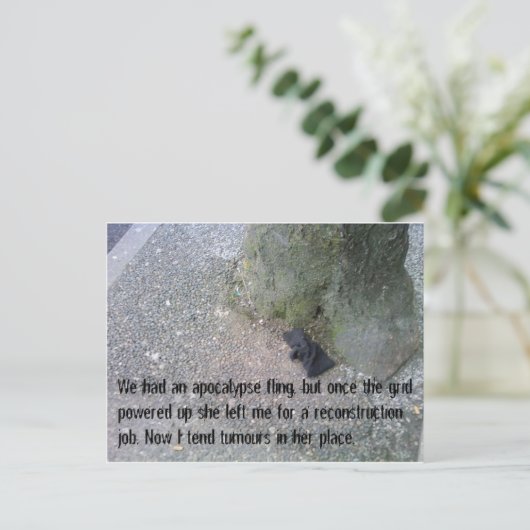 Briefkaarten uit het artikel over de liefde na Apo (Staand voorkant)