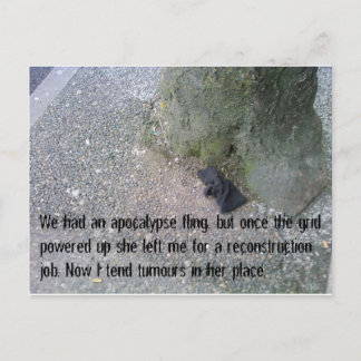 Briefkaarten uit het artikel over de liefde na Apo