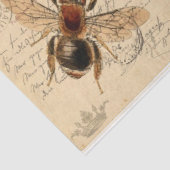 Briefkaarten uit Parijs Tissuepapier (Detail)