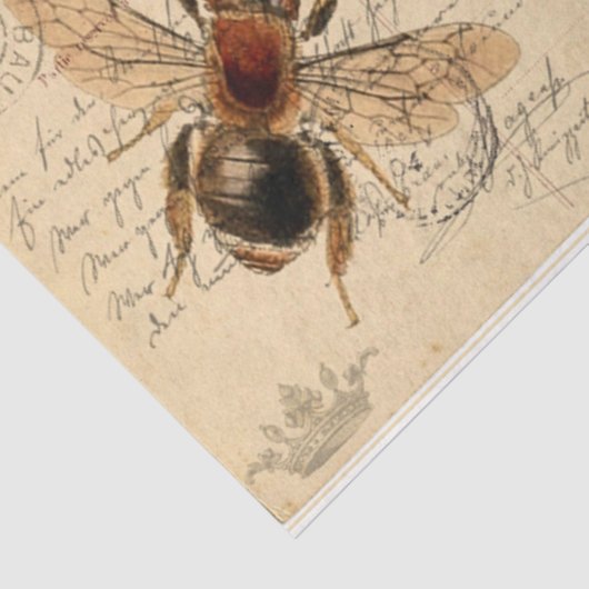 Briefkaarten uit Parijs Tissuepapier (Detail)