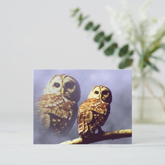 Briefkaarten van Barred Owl (Staand voorkant)