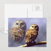 Briefkaarten van Barred Owl (Voorkant / Achterkant)
