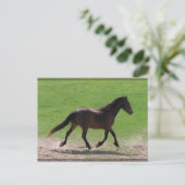 Briefkaarten van bloed (Staand voorkant)