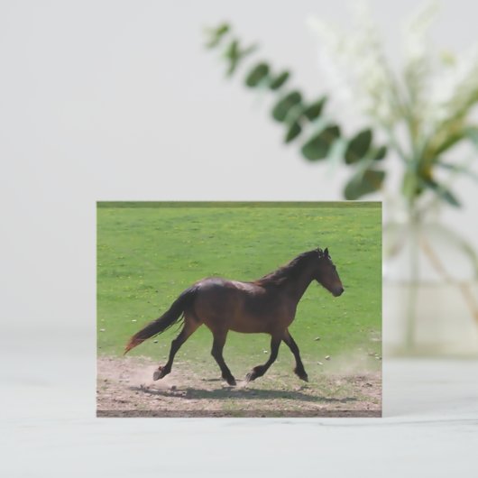 Briefkaarten van bloed (Staand voorkant)