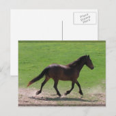 Briefkaarten van bloed (Voorkant / Achterkant)