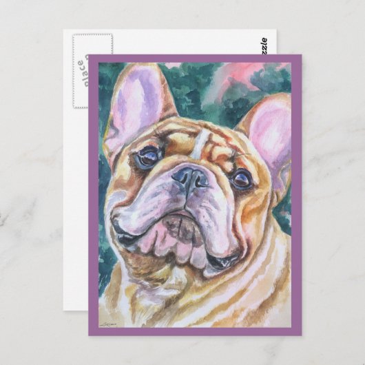 Briefkaarten van Bulldog (Voorkant / Achterkant)