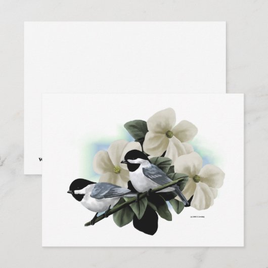 Briefkaarten van de Chickadee (Voorkant / Achterkant)