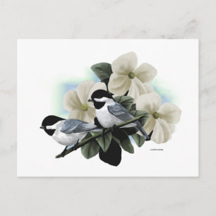 Briefkaarten van de Chickadee