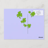 Briefkaarten van de Groene Monstergeit Shamrock Ca (Achterkant)