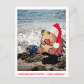 BRIEFKAARTEN VAN DE HEDGE (Voorkant)