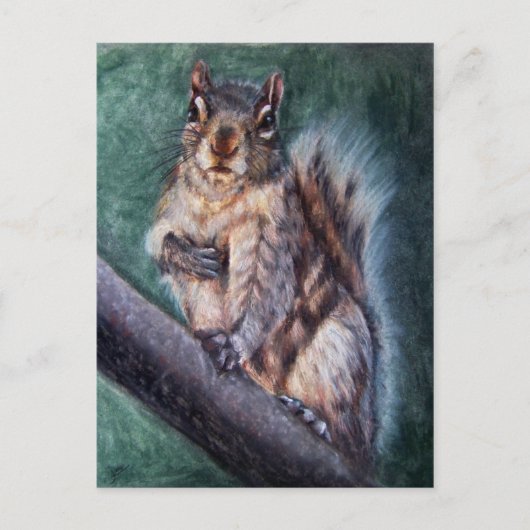 Briefkaarten van de heetduvel (eekhoorn) (Voorkant)