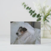 Briefkaarten van de hoogste kwaliteit (Staand voorkant)