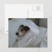 Briefkaarten van de hoogste kwaliteit (Voorkant / Achterkant)