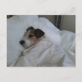 Briefkaarten van de hoogste kwaliteit