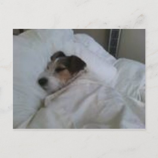 Briefkaarten van de hoogste kwaliteit (Voorkant)