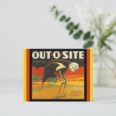  Briefkaarten van de Ostrich-citruscrate, buiten d (Staand voorkant)