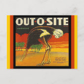 Briefkaarten van de Ostrich-citruscrate, buiten d (Voorkant)