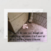 Briefkaarten van de vrienden na de Apocalypse #7 (Voorkant / Achterkant)