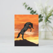 Briefkaarten van fokpaarden (Staand voorkant)