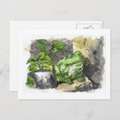 Briefkaarten van groene kikkervisjes (Voorkant / Achterkant)