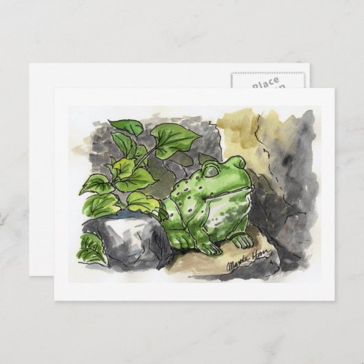 Briefkaarten van groene kikkervisjes (Voorkant / Achterkant)