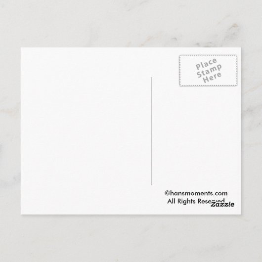 Briefkaarten van groene kikkervisjes (Achterkant)