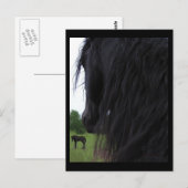 Briefkaarten van het Friesiaanse Uitzicht (Voorkant / Achterkant)