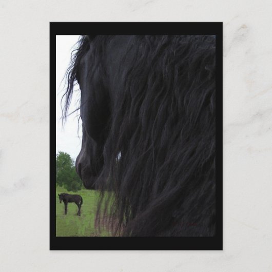 Briefkaarten van het Friesiaanse Uitzicht (Voorkant)