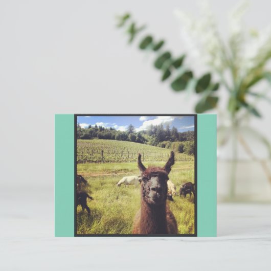 Briefkaarten van het Goat Power Team (Staand voorkant)