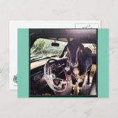 Briefkaarten van het Goat Power Team (Voorkant / Achterkant)