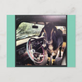 Briefkaarten van het Goat Power Team (Voorkant)