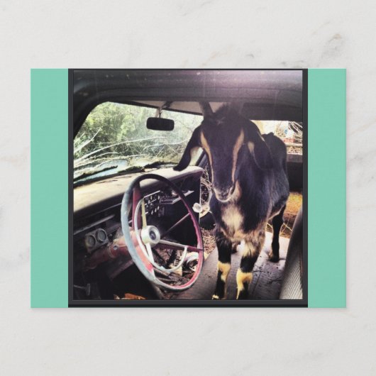 Briefkaarten van het Goat Power Team (Voorkant)