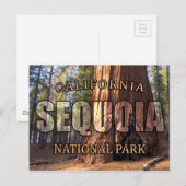 Briefkaarten van het nationale park Sequoia (Voorkant / Achterkant)
