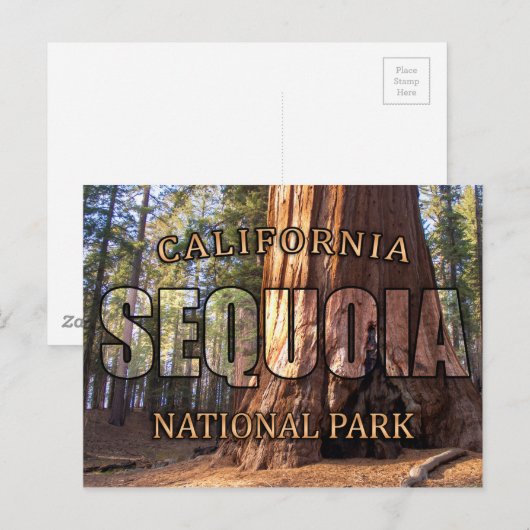 Briefkaarten van het nationale park Sequoia (Voorkant / Achterkant)