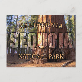 Briefkaarten van het nationale park Sequoia