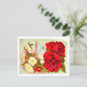 Briefkaarten van het zaadpakket. (Staand voorkant)