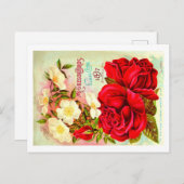 Briefkaarten van het  zaadpakket. (Voorkant / Achterkant)