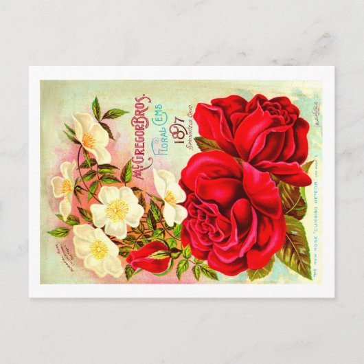 Briefkaarten van het zaadpakket. (Voorkant)