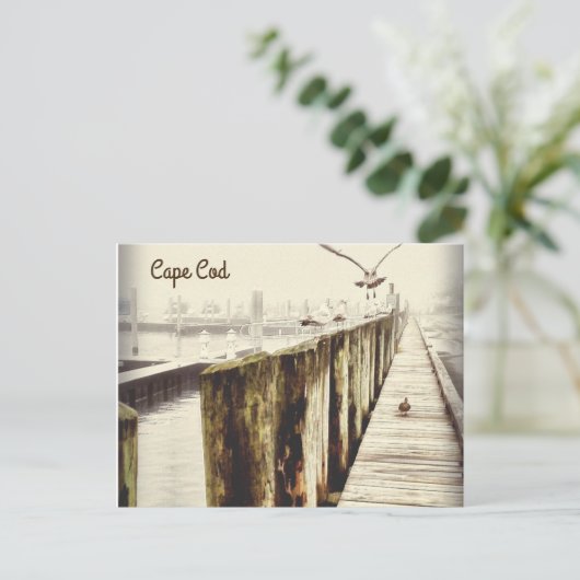 Briefkaarten van Kaapskabeljauw (Seagull Harbour) (Staand voorkant)