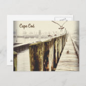 Briefkaarten van Kaapskabeljauw (Seagull Harbour) (Voorkant / Achterkant)