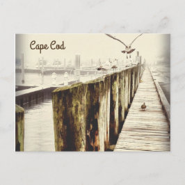 Briefkaarten van Kaapskabeljauw (Seagull Harbour)