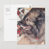 Briefkaarten van keesdoorn (Voorkant / Achterkant)