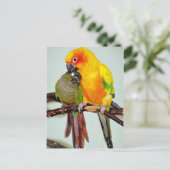 Briefkaarten van kleurrijke schelpdieren (Staand voorkant)