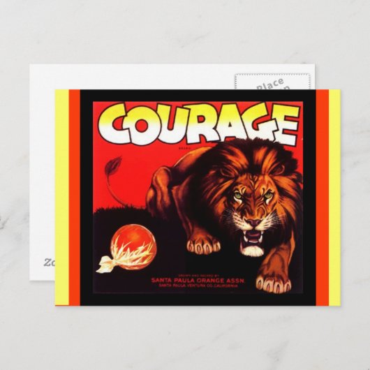 Briefkaarten van  komkommers en lionvruchten (Voorkant / Achterkant)