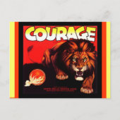 Briefkaarten van  komkommers en lionvruchten (Voorkant)